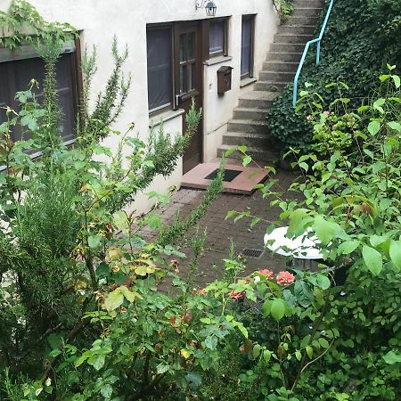 Gartenwohnung Gundelfingen  Extérieur photo
