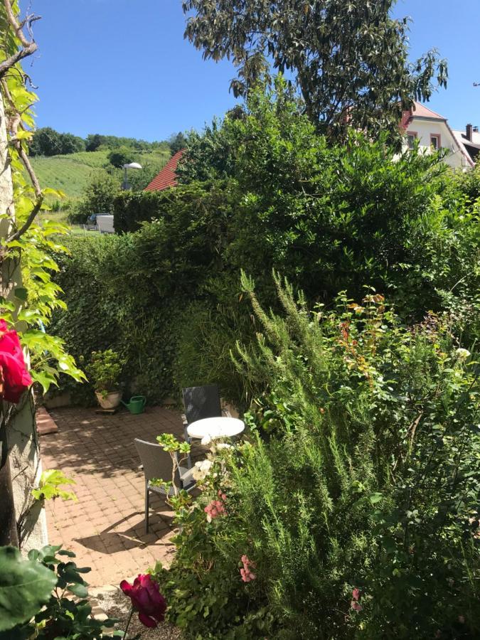 Gartenwohnung Gundelfingen  Extérieur photo