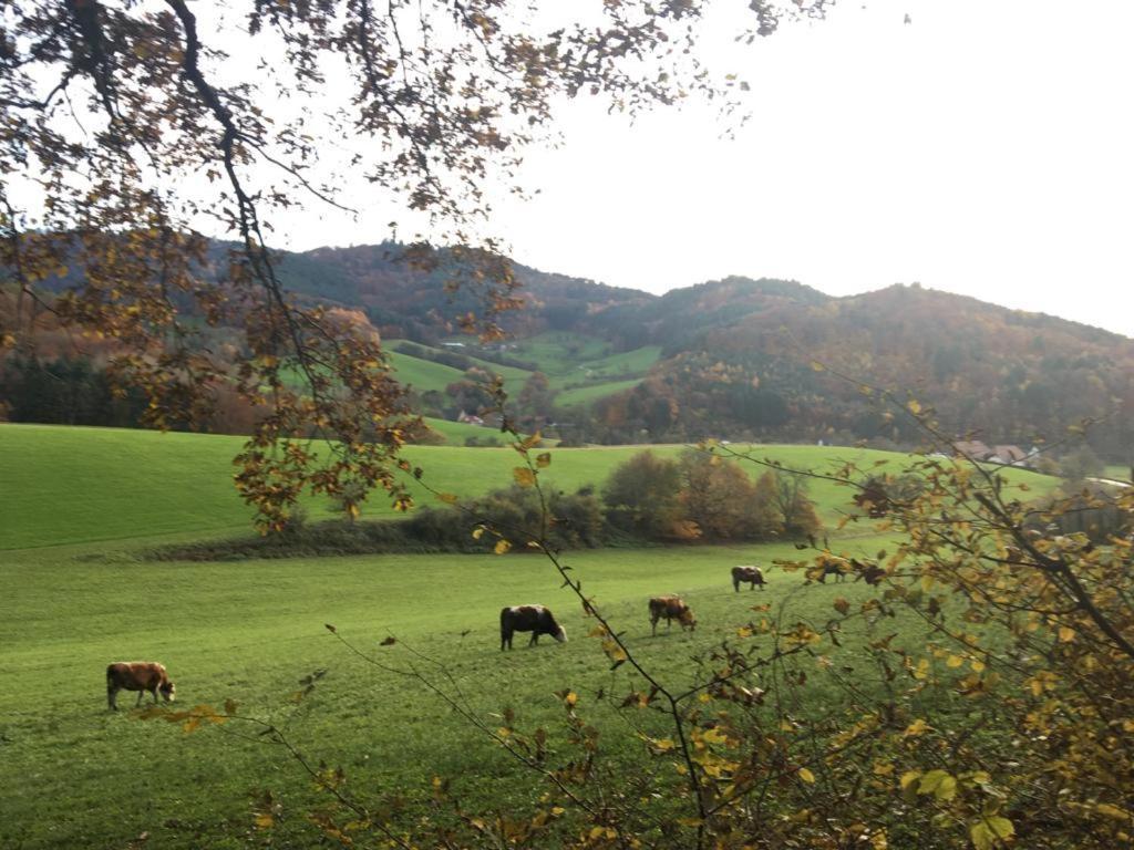 Gartenwohnung Gundelfingen  Extérieur photo