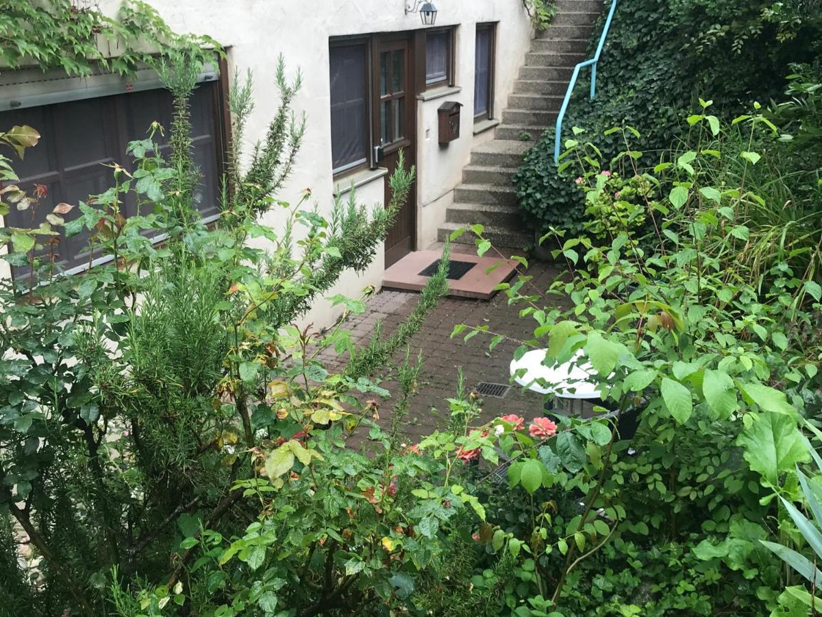 Gartenwohnung Gundelfingen  Extérieur photo